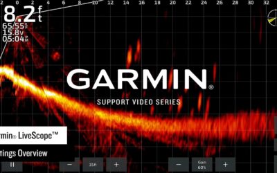 Garmin Support | LiveScope™ | Settings and Setup