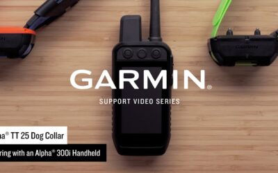 Garmin Support | Alpha® TT 25 Dog Collar | Pairing with an Alpha® 300i