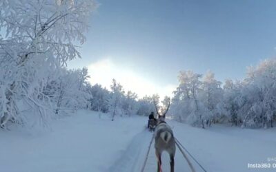 Insta360 ONE X – Reindeer Sledding