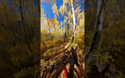 Autumn MTB Masterpiece 🎬 Jack Loosmann #Shorts #MTB