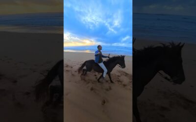 How to be the mane character on any beach👆#Insta360 #Insta360X4 #horseriding #nodronenoproblem #fyp