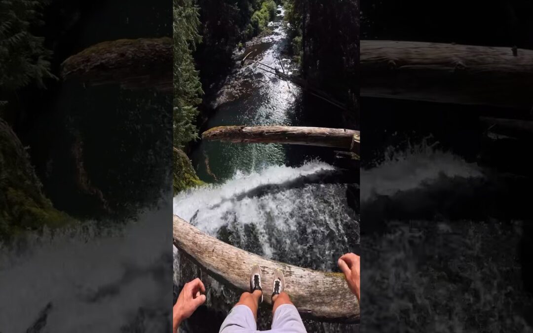 When the jump and the shot are both on point 🤌 🔥 #Insta360 #pov #cliffjumping #shorts #fyp #fun