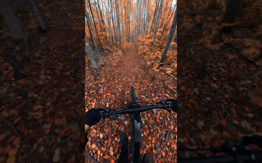 Stunning Fall MTB Colors 🎬 Kevin Belanger #Shorts #MTB