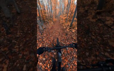 Stunning Fall MTB Colors 🎬 Kevin Belanger #Shorts #MTB