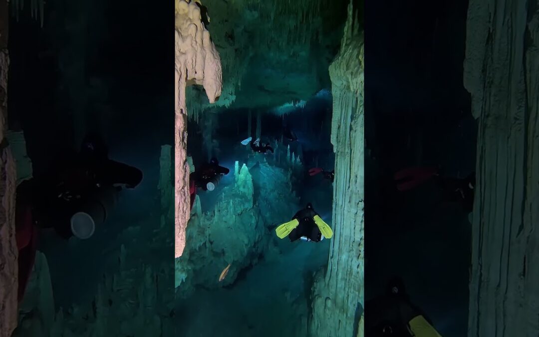 Cave Diving Through Cenotes 🎬 Ricardo Castillo Miguez #Shorts #Diving