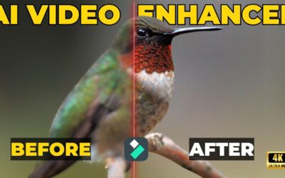 The Best AI Video Editor with AI Video Enhancer Feature | AI Color Palette | Filmora 14