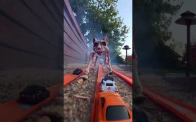 Hot Wheels Track From GoPro POV 🎬 Shane Benton #Shorts #Halloween