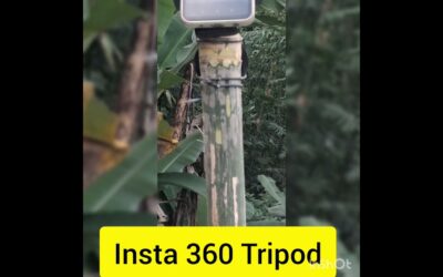 Insta 360 Tripod #ytshorts #funny #foryou #travel #comedy #reels #insta360 #animals #nature #hindi