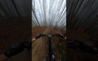 Spooky MTB Forest Descent 🎬 Matteo Bonomini #Shorts #MTB