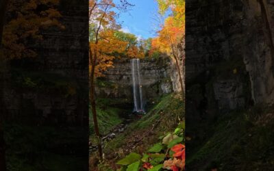 Relaxing Autumn Waterfall ASMR 🎬 Kyle Wicks #Shorts #Fall