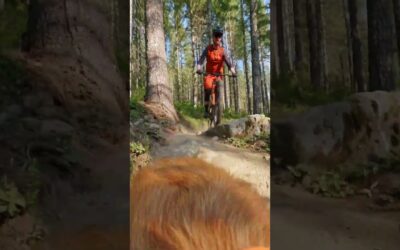 Golden Retriever Films Mountain Biker 🎬 Evan Macalister #Shorts #Dogs