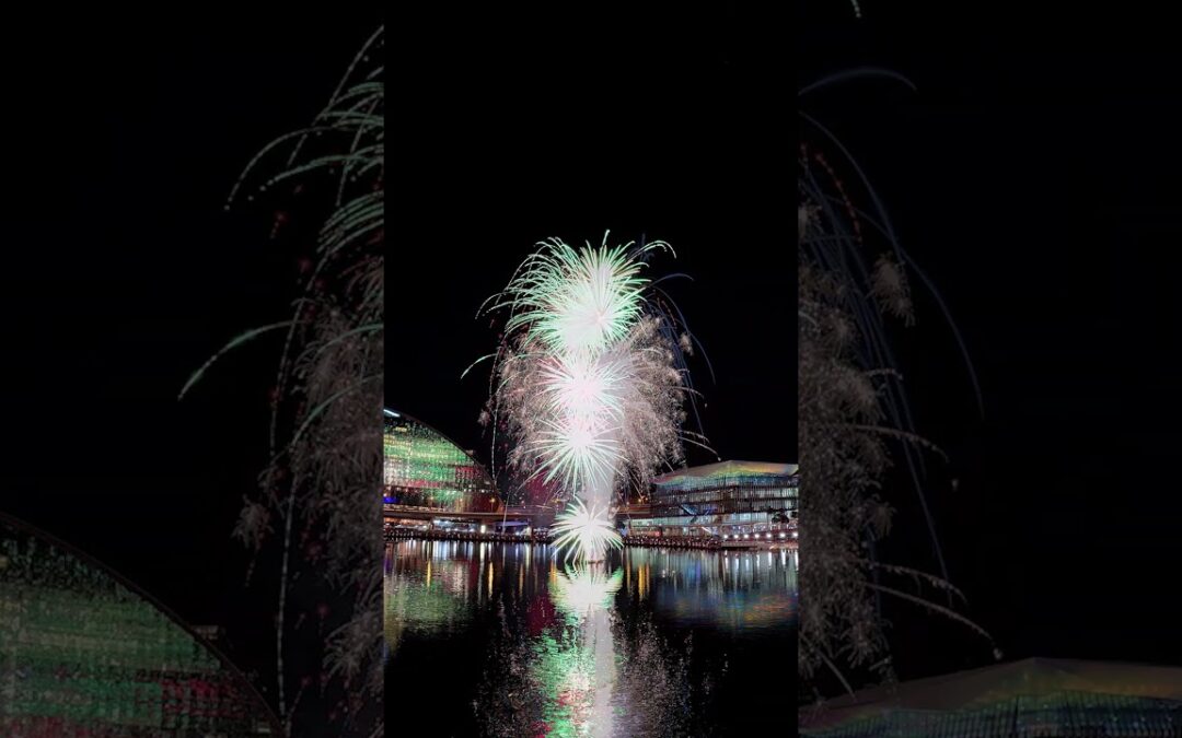 Stunning Fireworks Light Painting 🎬 Tyler Toth #Shorts #Fireworks