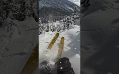 Dodging Trees in the Canadian Backcountry 🎬 Baker Boyd #Shorts #Ski